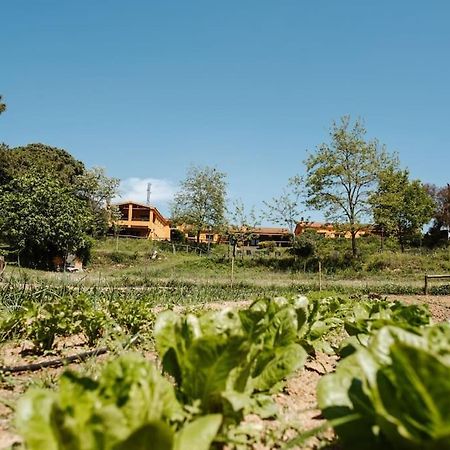Casa Rural En El Campo Las Dalias Tordera Eksteriør bilde