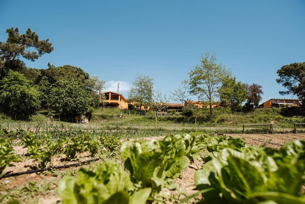 Casa Rural En El Campo Las Dalias Tordera Eksteriør bilde